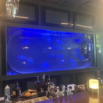 Lechon - Jellyfish tank behind the bar - Tapas Bars Near Me - Portland, Oregon