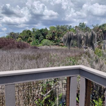Alafia Scrub Nature Preserve - Overlook of Alafia river. - Hiking Near Me - Riverview, Florida Alafia Scrub Nature Preserve - Overlook of Alafia river. - Hiking Near Me - Riverview, Florida