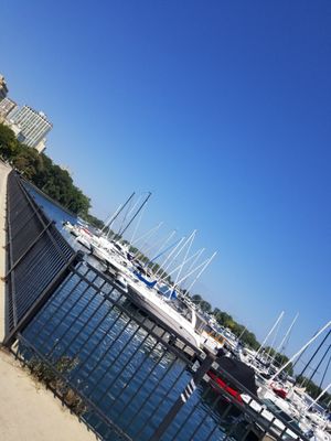 Belmont Harbor by null