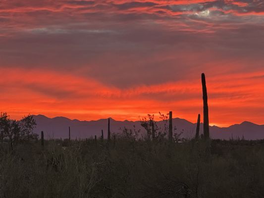 Gilbert Ray Campground by null
