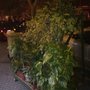 Photo of Frutería de la Alameda
