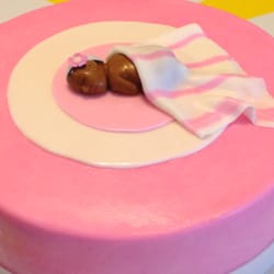 The Byrd's Nest Bakery - Baby Shower Cake