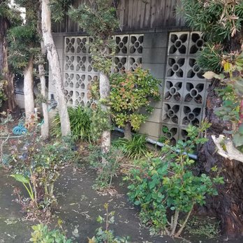 Octavio's Tree Service - Tree Services Near Me Octavio's Tree Service - Tree Services Near Me