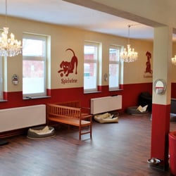Amicanis - Hundespielhalle