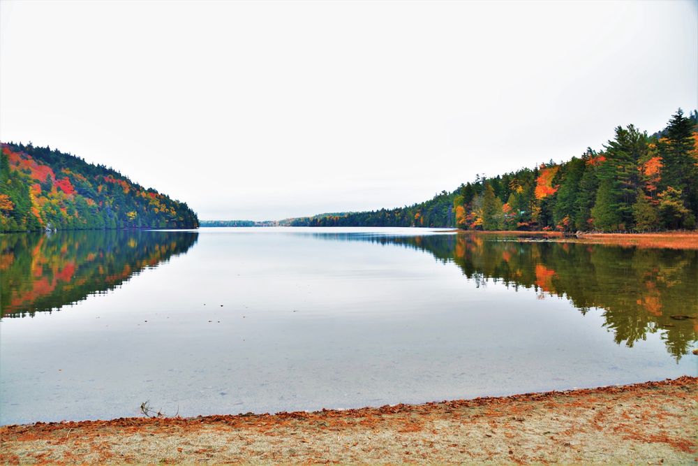 ECHO LAKE BEACH Updated July 2024 Echo Lake Beach, Mount Desert