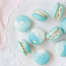 Macaron Cat