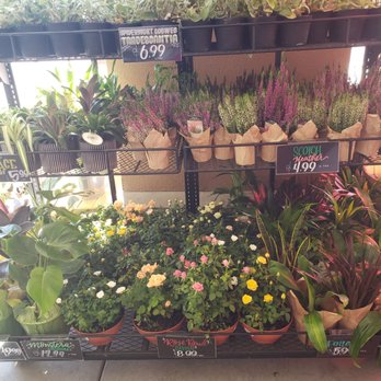 Trader Joe's - Grocery Near Me - La Habra, California Trader Joe's - Grocery Near Me - La Habra, California