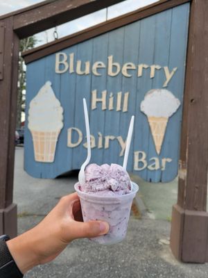 Blueberry Hill Dairy Bar by null