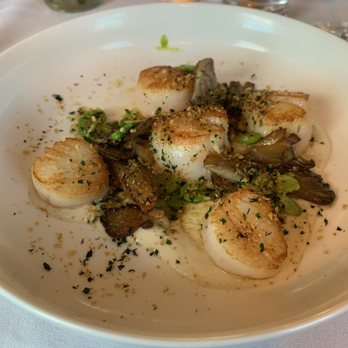 The Circle - Scallops - New American Near Me - Fredon Township, New Jersey The Circle - Scallops - New American Near Me - Fredon Township, New Jersey