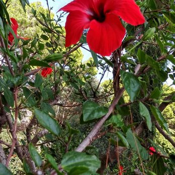 Giardini di Augusto - Parks Near Me - Capri, NA