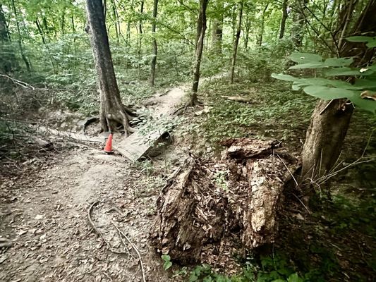 Overton Park by null