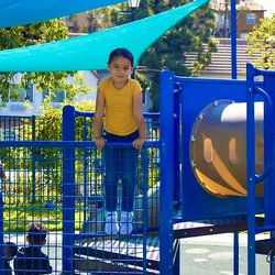 Countryside Montessori Academy
