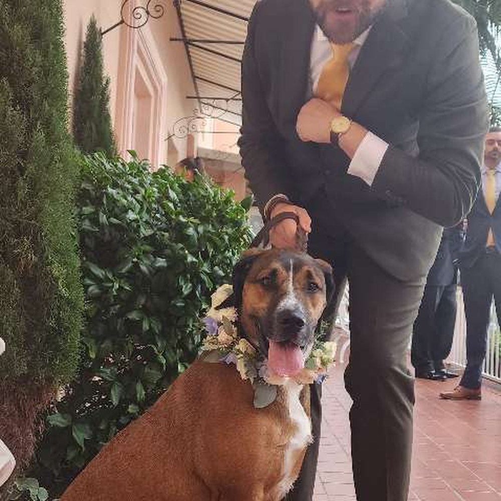 BeLoved Pet Sitting - Pet Sitting Near Me - San Diego, California BeLoved Pet Sitting - Pet Sitting Near Me - San Diego, California