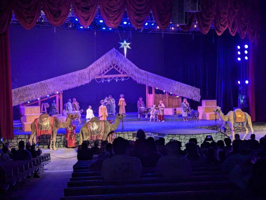 SeaWorld San Antonio by null