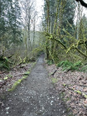 Red Town Trailhead by null