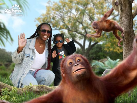 ZooTampa at Lowry Park by null