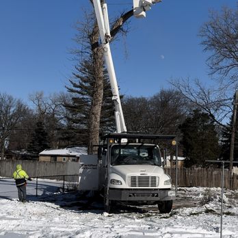 Bluder's Tree Service - Dangerous Dead Tree Removal Near Power Lines And Fences - Tree Services Near Me - Brookfield, Illinois Bluder's Tree Service - Dangerous Dead Tree Removal Near Power Lines And Fences - Tree Services Near Me - Brookfield, Illinois