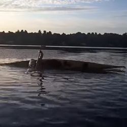 Micozzi Beach - Roll practice
