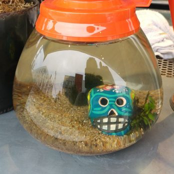 Seahorse Coffee - Fish Bowl - Coffee & Tea Near Me - San Diego, California