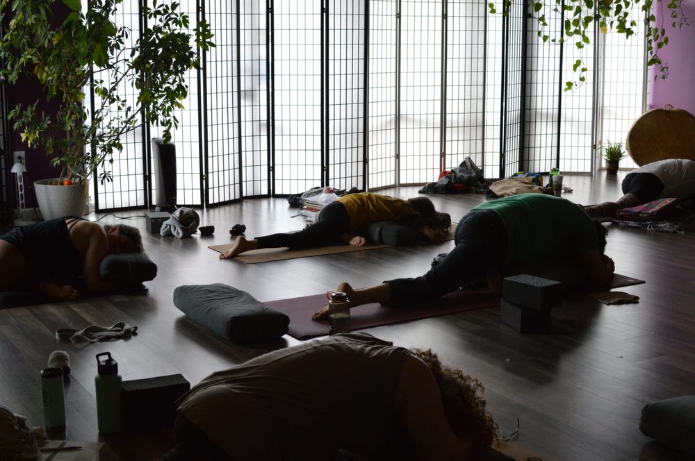 The Be Free Healing Center Logo