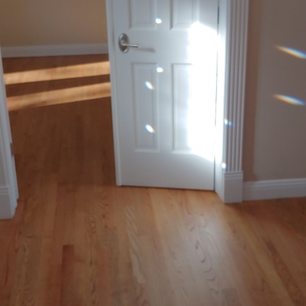 Blake Stevens Wood Flooring Madison Floor Roma