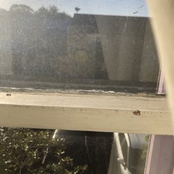 Heritage Inn Bed & Breakfast - Bedroom window shades removed, now NO privacy, totally exposed to next door hotel & parking lot