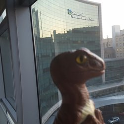 Cleveland Clinic Global Patient Services - Bob the Raptor Says "The Mammals here take good care of you when you are sick."