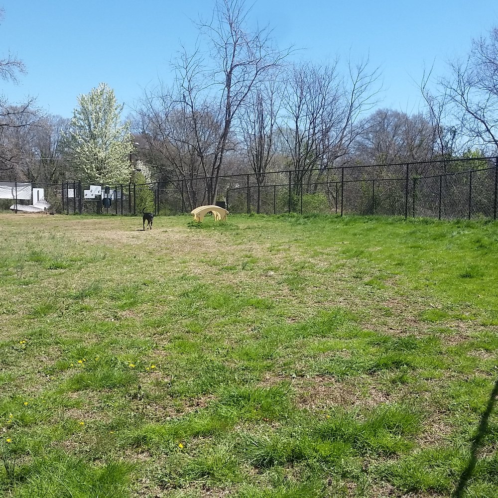 Downtown Durham Dog Park - Large dog area - Dog Parks Near Me - Durham, North Carolina