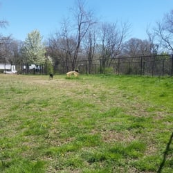 Downtown Durham Dog Park - Large dog area
