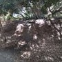 Photo of Saratoga Creek Trail
