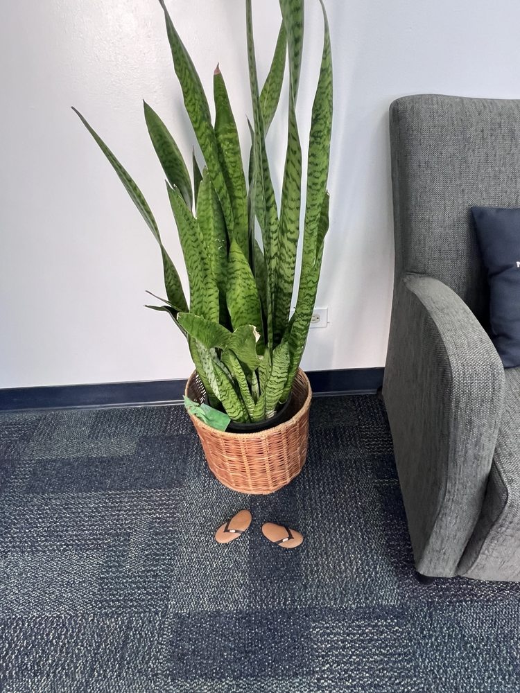 Big Brothers Big Sisters Hawaii - social services organization in Honolulu, HI