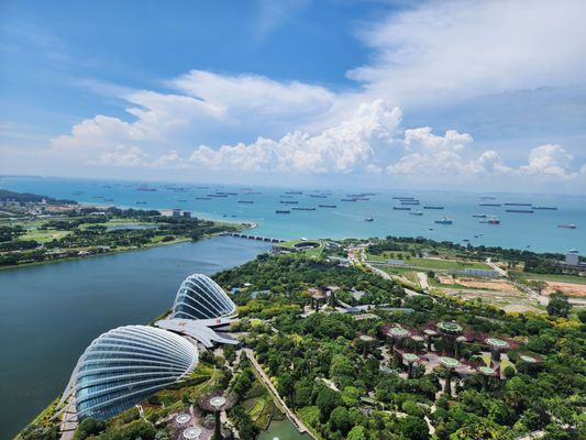 SkyPark Observation Deck by null