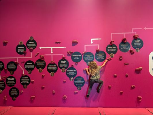 Montreal Science Centre by null