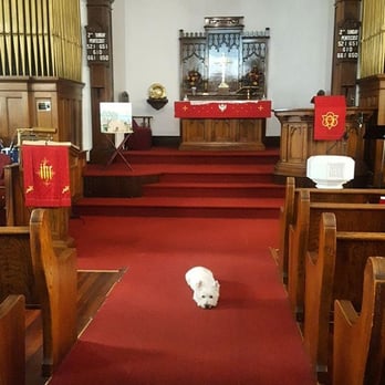 St. John's Lutheran Church - Deacon Dog Scotty - Churches Near Me - Ambler, Pennsylvania St. John's Lutheran Church - Deacon Dog Scotty - Churches Near Me - Ambler, Pennsylvania