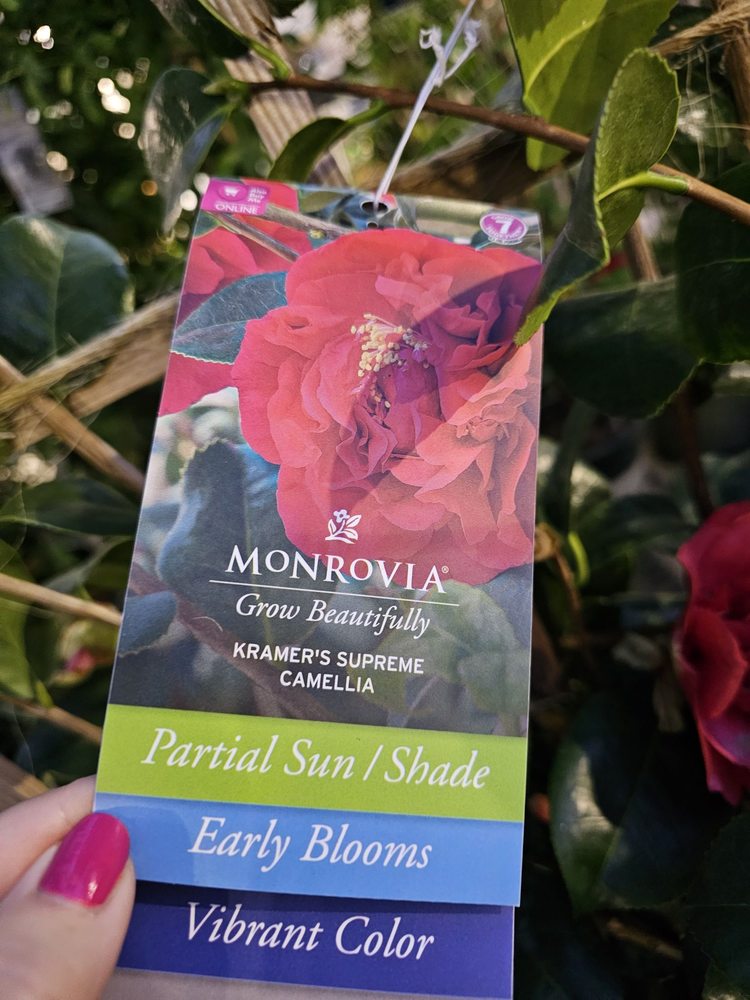 LOWE’S HOME IMPROVEMENT Updated August 2024 49 Photos & 111 Reviews