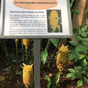 Gruson Gewächshäuser - Botanical Gardens Near Me - Magdeburg, ST
