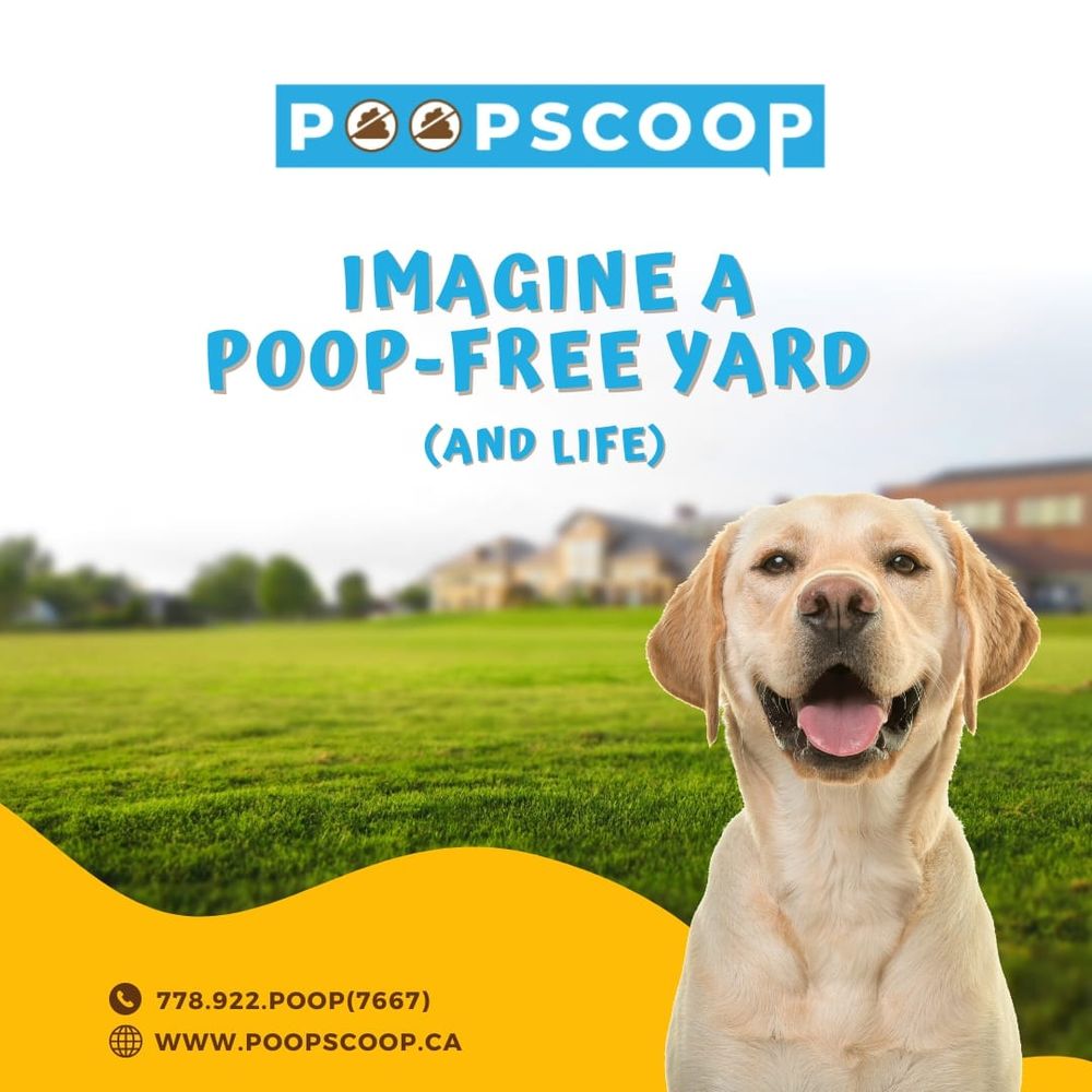 POOP SCOOP - Updated October 2024 - Request Information - Victoria ...