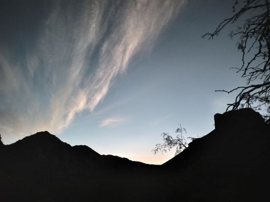 Chisos Basin Campground by null