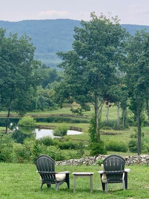 Fjord Vineyards by null