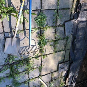 Jim’s Home Services - BEFORE
Patio stones 20 years after original installation - Handyman Near Me - Towanda, Pennsylvania Jim’s Home Services - BEFORE
Patio stones 20 years after original installation - Handyman Near Me - Towanda, Pennsylvania