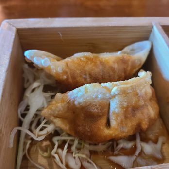 Aji Izakaya - 2 fried pot stickers - Ramen Near Me - Rosenberg, Texas Aji Izakaya - 2 fried pot stickers - Ramen Near Me - Rosenberg, Texas