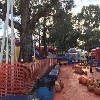 ABC Tree Farms - Pumpkin Patches Near Me - San Lorenzo, California ABC Tree Farms - Pumpkin Patches Near Me - San Lorenzo, California