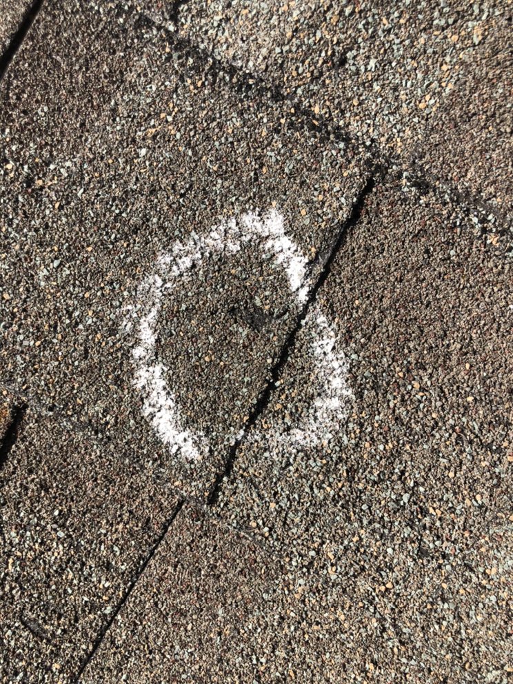 Slide of The Roof Man