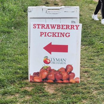 Lyman Orchards - Pick Your Own Farms Near Me - Middlefield, Connecticut Lyman Orchards - Pick Your Own Farms Near Me - Middlefield, Connecticut