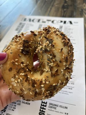 Bageltopia by null