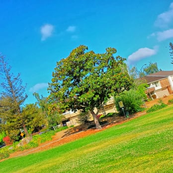 Lone Hill Park - Parks Near Me - San Jose, California Lone Hill Park - Parks Near Me - San Jose, California