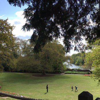 Hollyhock Cafe - The view from the terrace - Cafes Near Me - Richmond, XGL