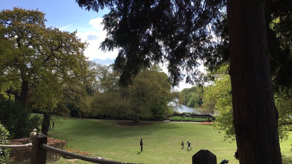 Hollyhock Vegetarian Fairtrade Cafe by null