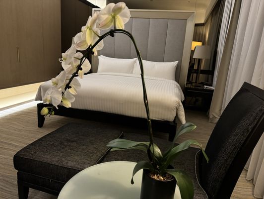 Singapore Marriott Tang Plaza Hotel by null