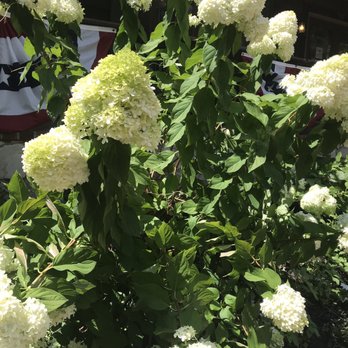 Historic St. Charles Main Street - Summer 2019 - Local Flavor Near Me - Saint Charles, Missouri Historic St. Charles Main Street - Summer 2019 - Local Flavor Near Me - Saint Charles, Missouri